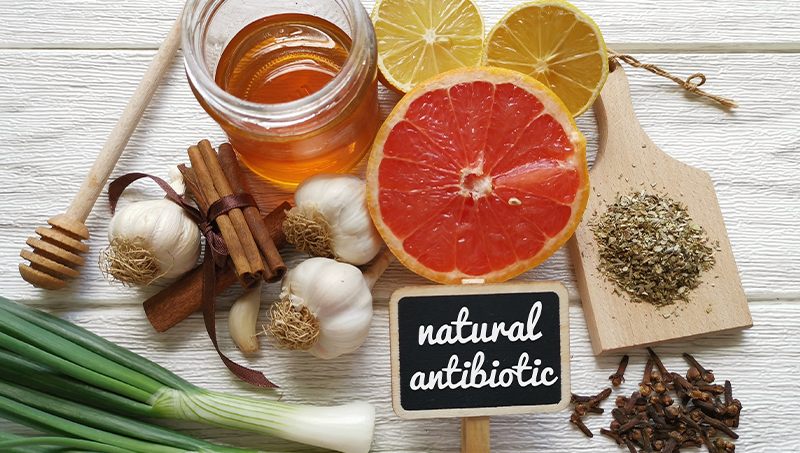 11 natural antibiotic foods like honey, garlic, and oregano
